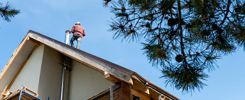 Birds Removal Contractors from Chimney in Safety Harbor, FL